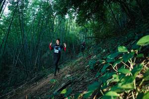 BIB: 
                            <button type="button" onclick="openModal(28124935)" class="btn btn-primary btn-sm float-right btn-popup" data-toggle="modal" data-target=".modal-high-quality">
                        <i class="fas fa-shopping-cart"></i> Add to Cart
                    </button>
                                            <button type="button" onclick="isThisMe(28124935, true)" class="btn btn-success btn-sm float-right btn-popup btn-isme hidden" data-toggle="tooltip" data-placement="bottom" title="นี่คือรูปของคุณใช่ไหม คลิกที่นี่เพื่อเอาเข้าอัลบั้ม">
                        <i class="fas fa-plus"></i> Add to album
                    </button>
                    <button type="button" onclick="isThisMe(28124935, false)" class="btn btn-warning btn-sm float-right btn-popup btn-isnotme hidden">
                        <i class="fas fa-ban"></i> Remove from album
                    </button>